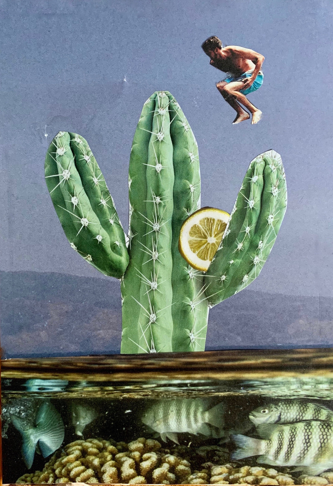 Cactus Jump